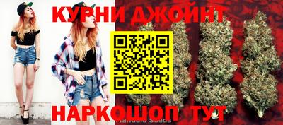 индика Апшеронск