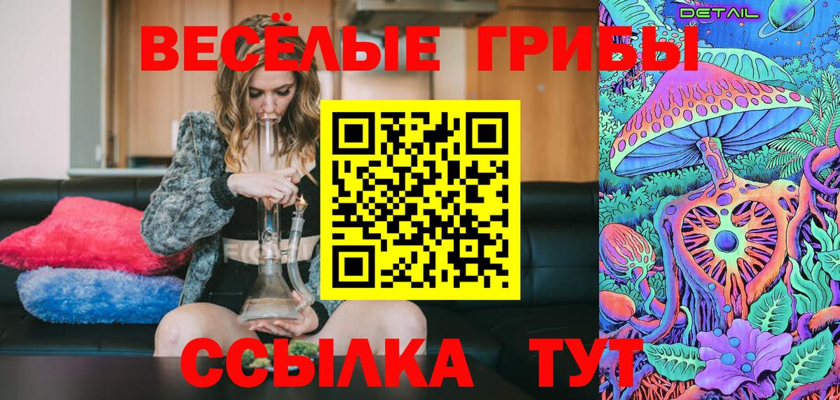 Псилоцибиновые грибы Psilocybe  Вход с VPN  Белгород 